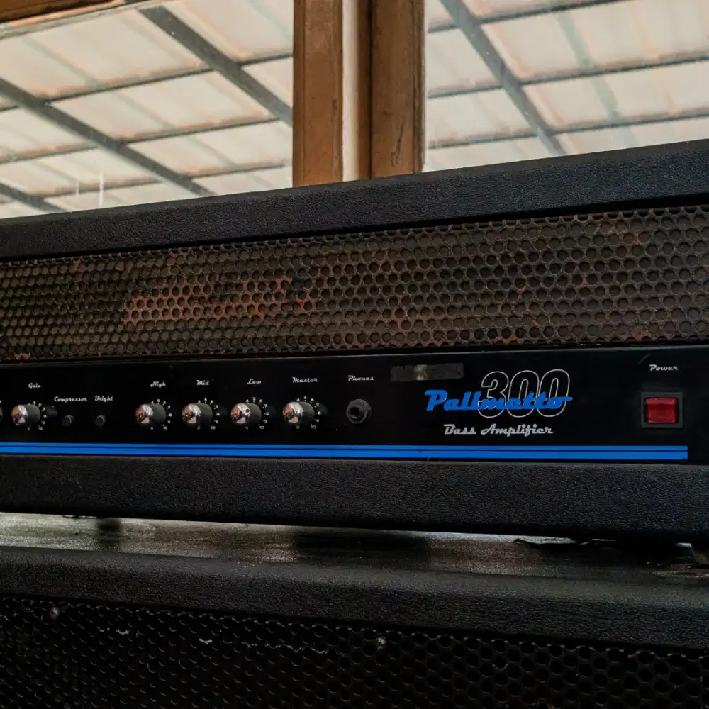 Amplifier head ampli bass palmetto 300