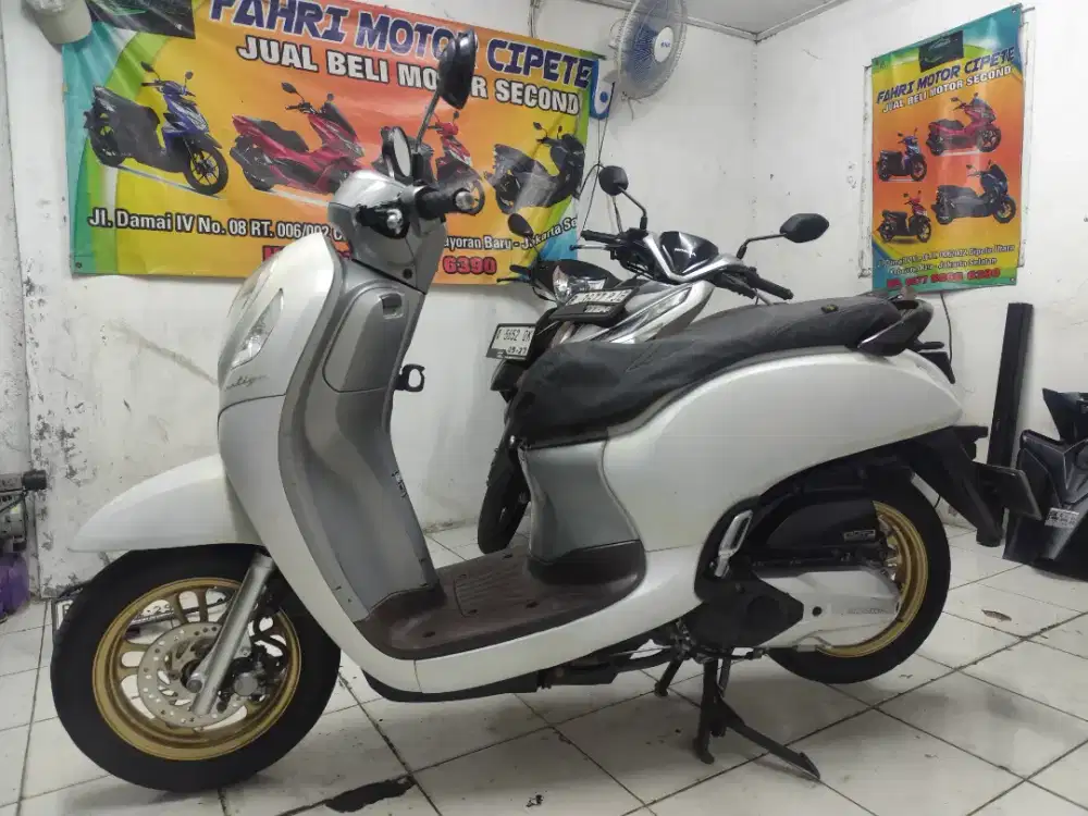 Honda Scoopy Tahun 2021 pajak Hidup