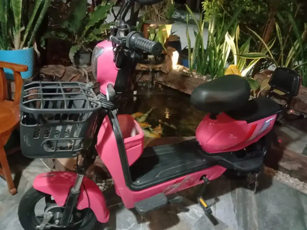 Sepeda Listrik U - Winfly