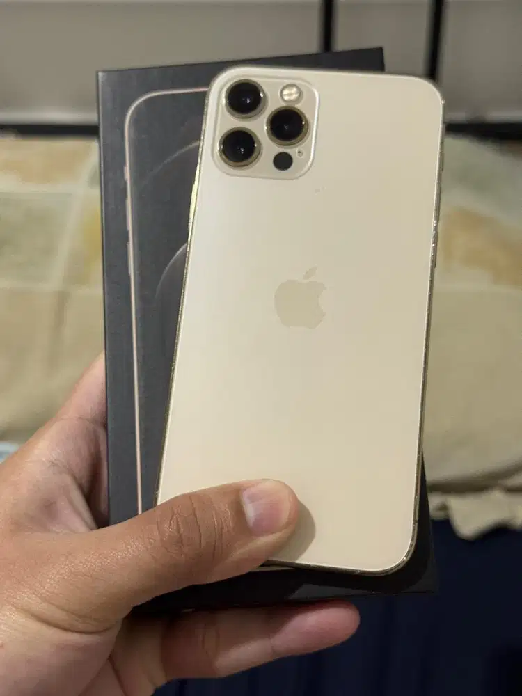 iphone 12 pro 256 inter allop