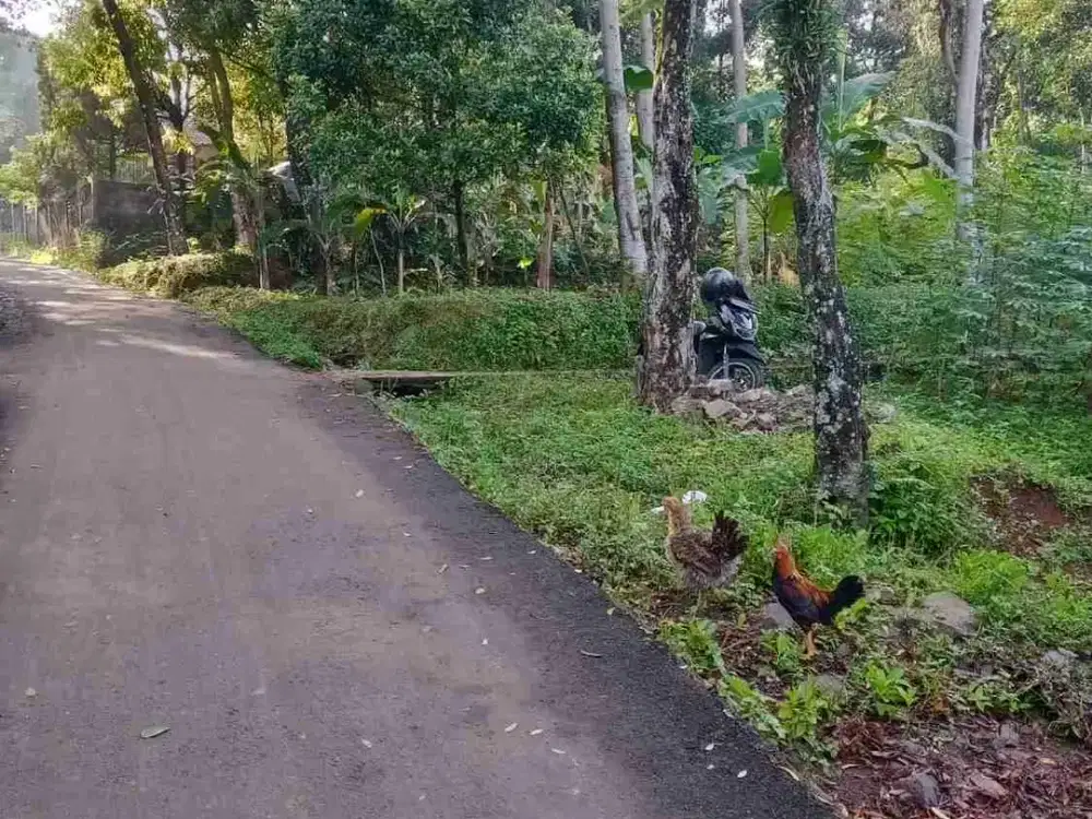 Di jual cepat Lokasi di Sentul city Bojong koneng Dekat KM O dekat dengan Keluar tol