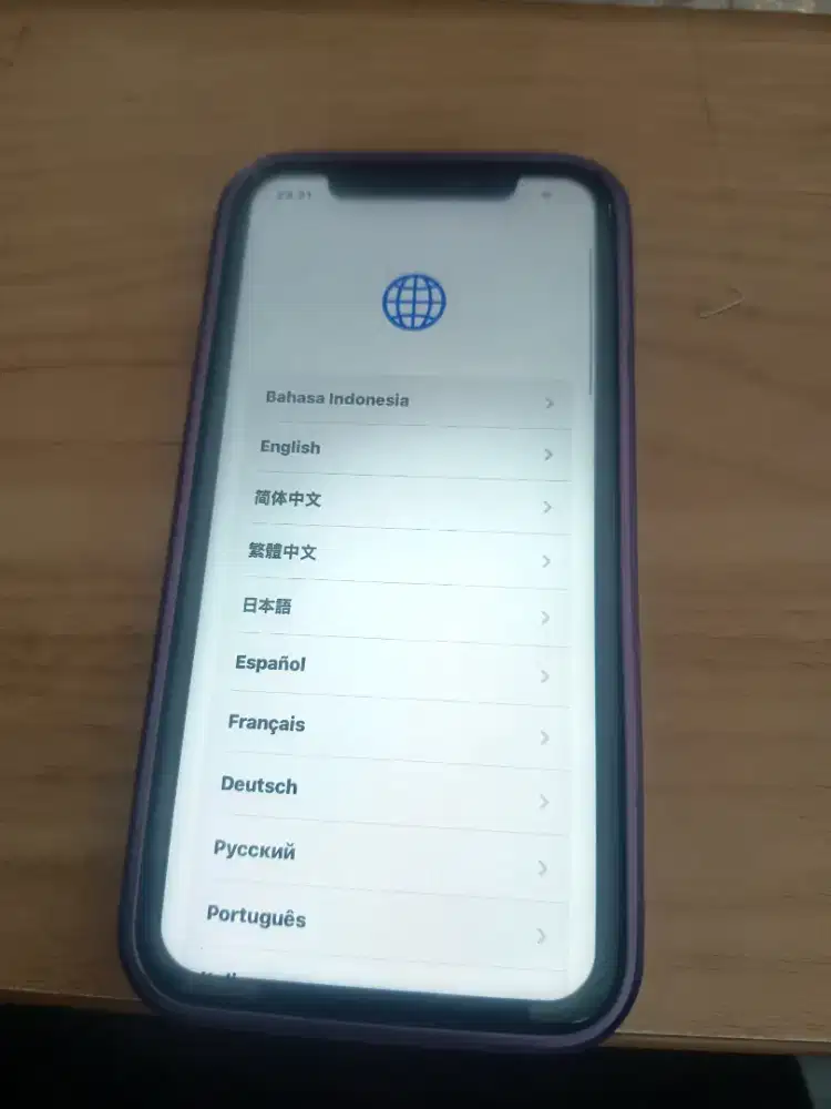 iPhone XR Lupa iCloud