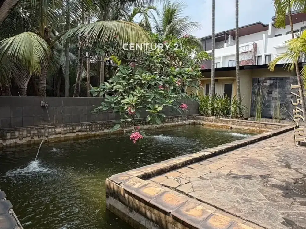 Dijual Rumah Villa Dengan Kolam Renang Dan Halaman Yang Luas