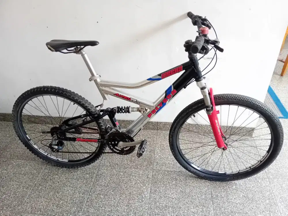 Polygon Mecha Alutech 
7005 Ultralite
Original Paint Frame Full Alloy