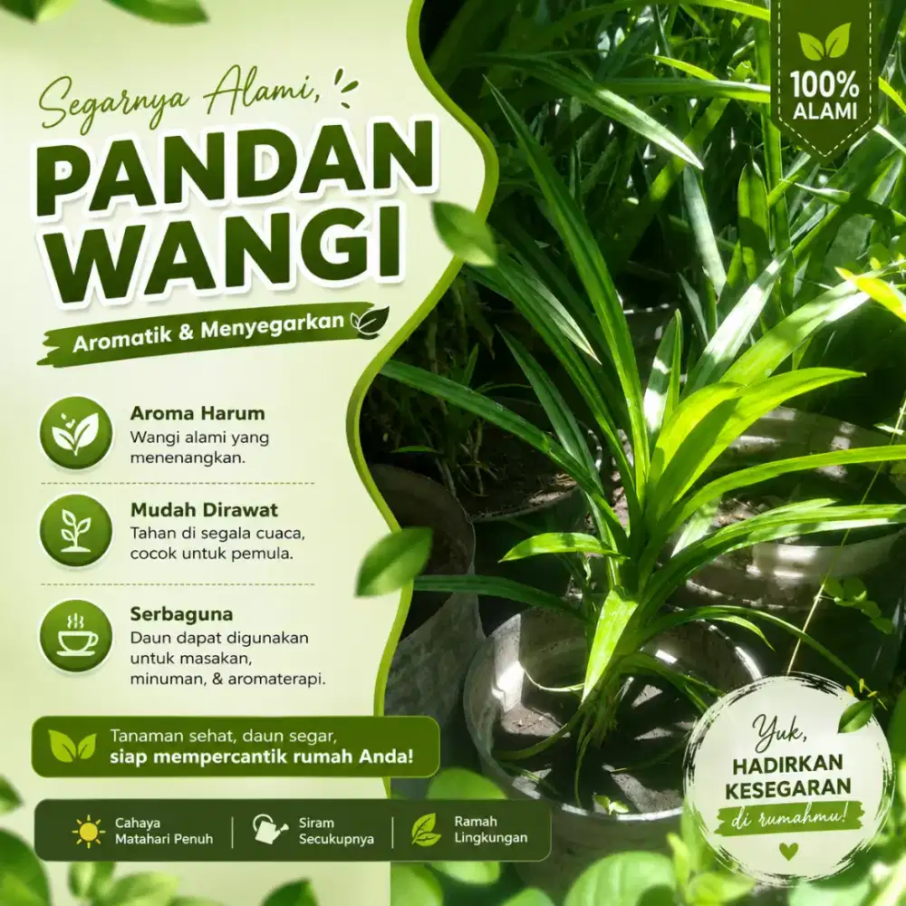 Daun Pandan dan Pot