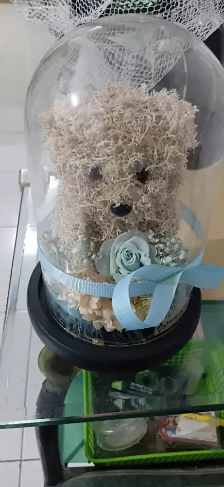 Boneka beruang exclusive dengan lampu