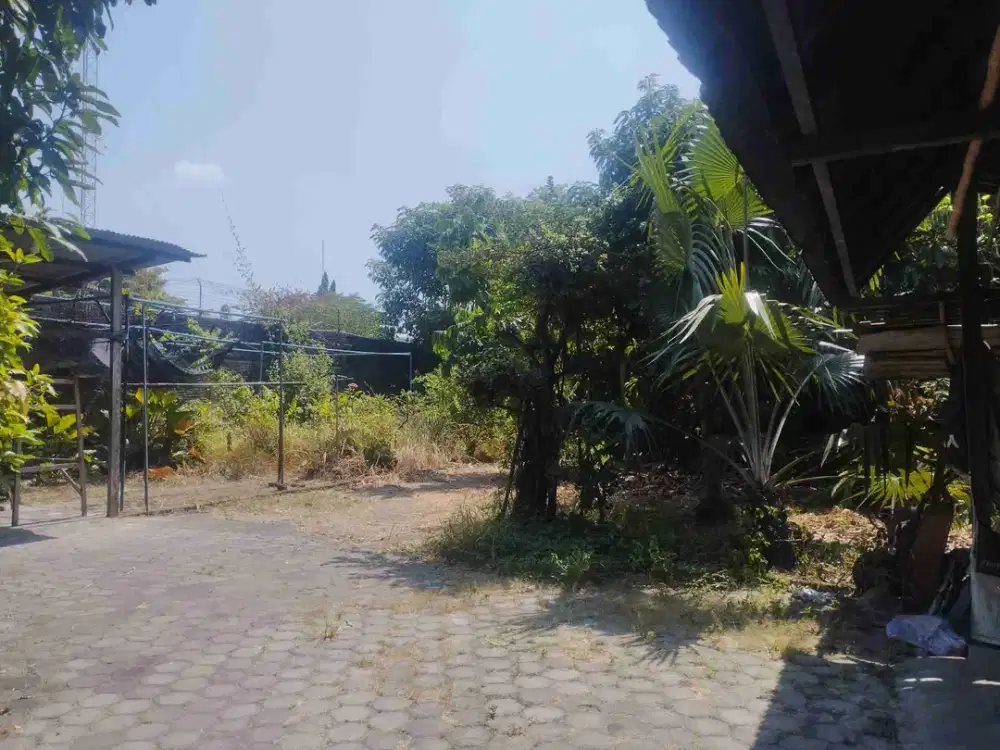 Tanah Jl Adisucipto Solo Dekat Kampus UMS Bagus dan Strategis