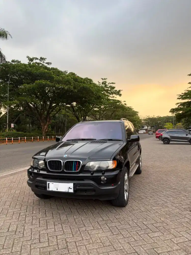 BMW X5 th. 2003