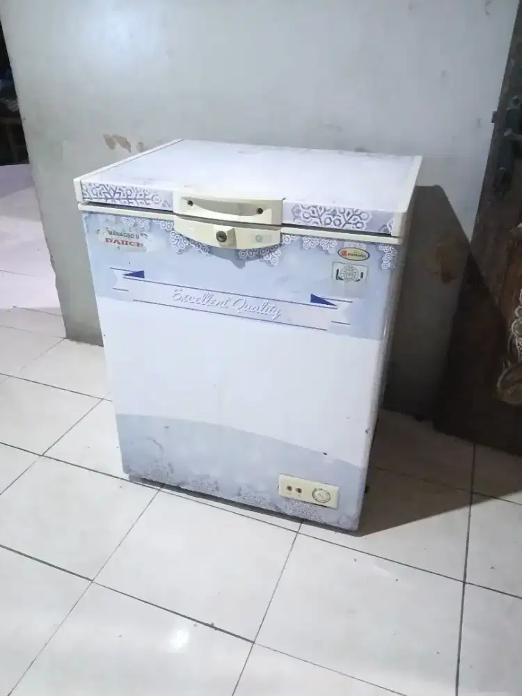 Frezzer box 100L