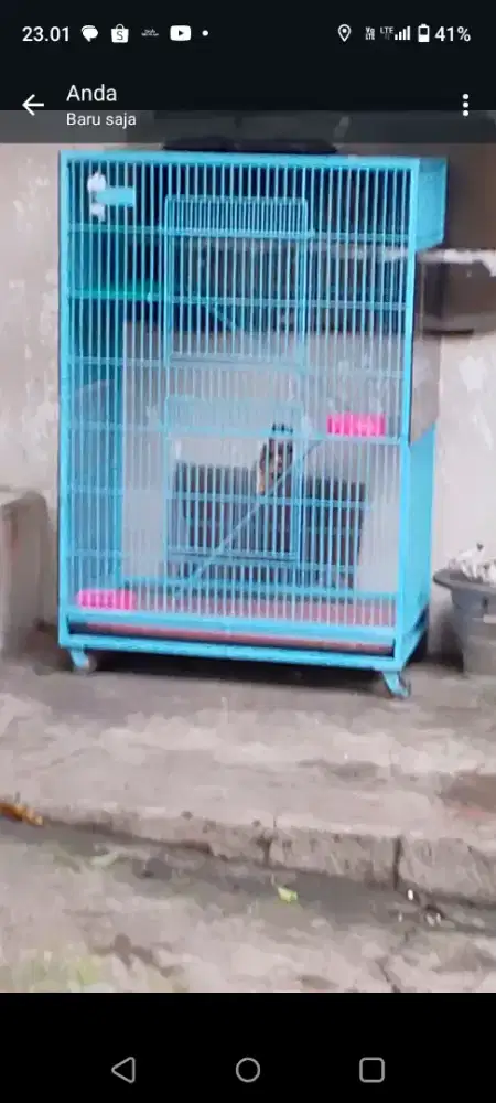 Jual kandang kucing