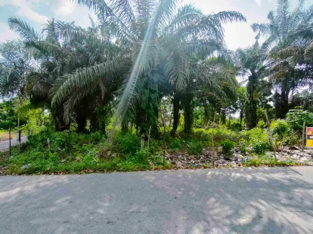MURAH! PROSPEKTIF UNTUK PERUMAHAN Dan KOST2AN TEPI JALAN BESAR DEKAT UNILAK