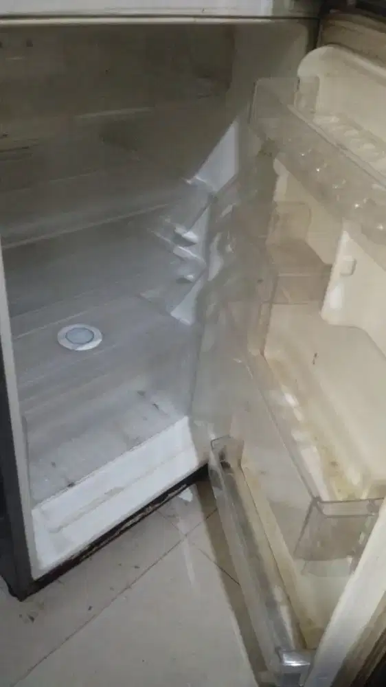 Kulkas LG 2 Pintu