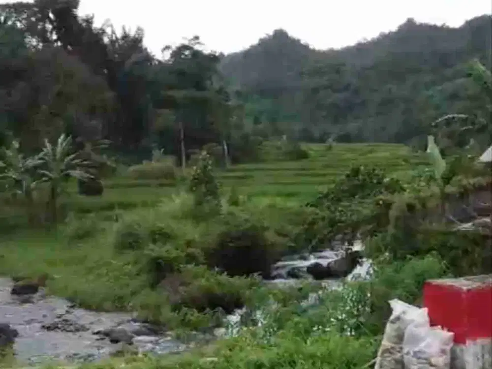 Di Jual tanah pinggir sungai Di pamijahan Bogor barat Sejuk
