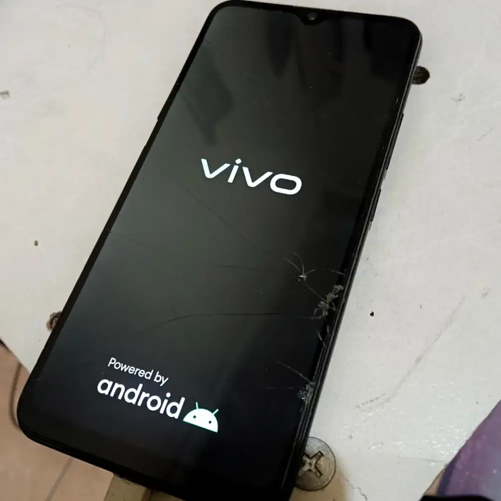 HP Smartphone Vivo Y19 Ram 6gb / Rom128gb