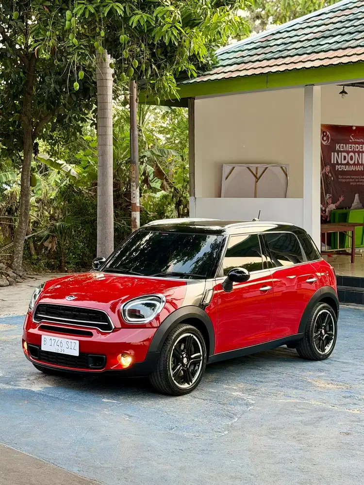 DijuaL (DP 65jt) MiniCooper S Countryman 2014 Automatic