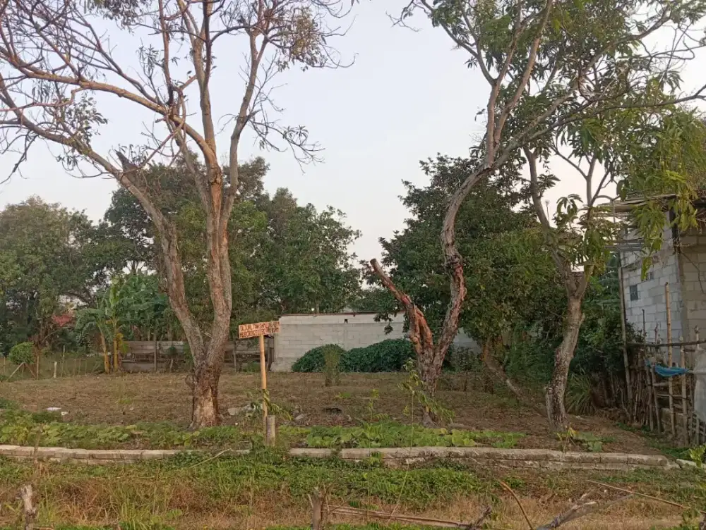 Jual tanah darat murah BU, Sukatenang Babelan luas 398 meter