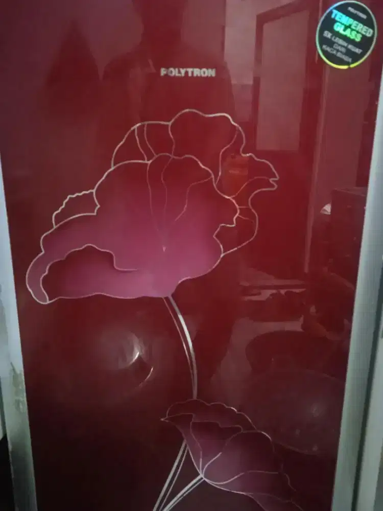 Kulkas Politron balenza sepintu