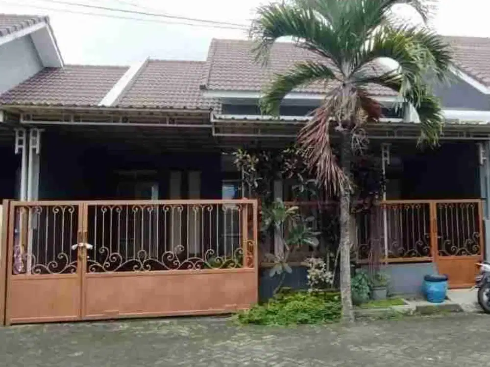 Disewakan Rumah Furnish di Pandanwangi, Sulfat, Blimbing, Malang