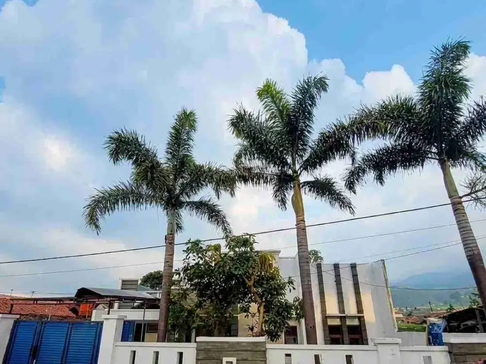 Dijual Rumah Villa Ekslusif di Rancabali Ciwidey