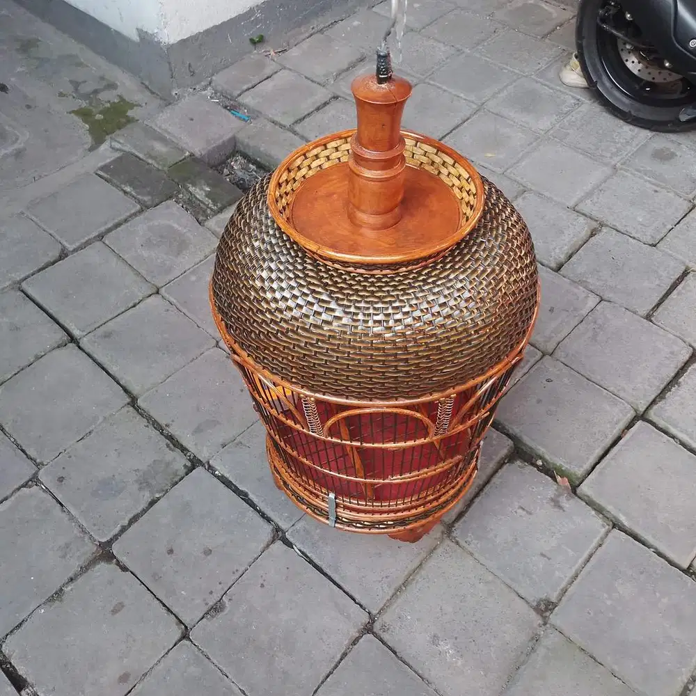 sangkar burung bekas rasa baru
