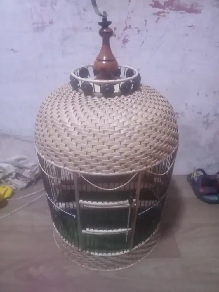 Sangkar perkutut baru Kebayoran lama