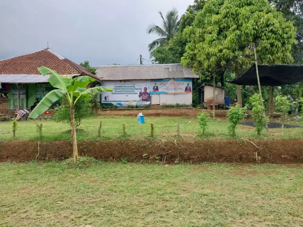 Tanah 1,6 Hektar di Wanayasa, Purwakarta Cocok untuk Vila atau Agrowisata