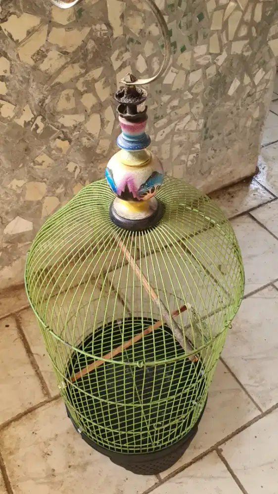 Kandang kapsul lovebird