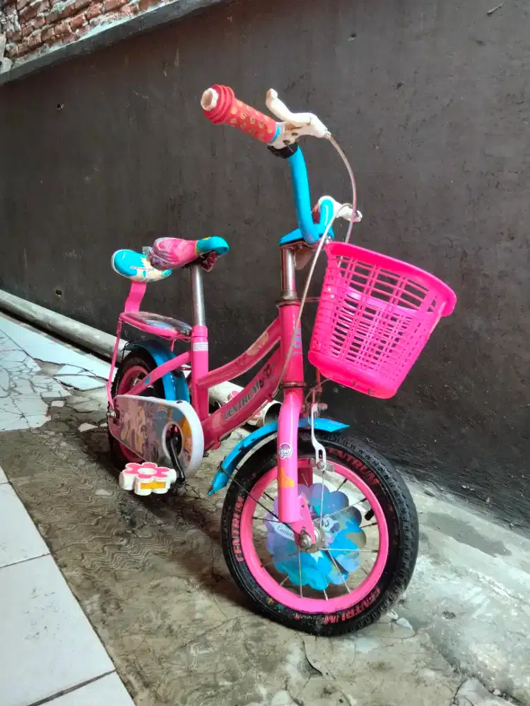 Sepeda Anak Bekas