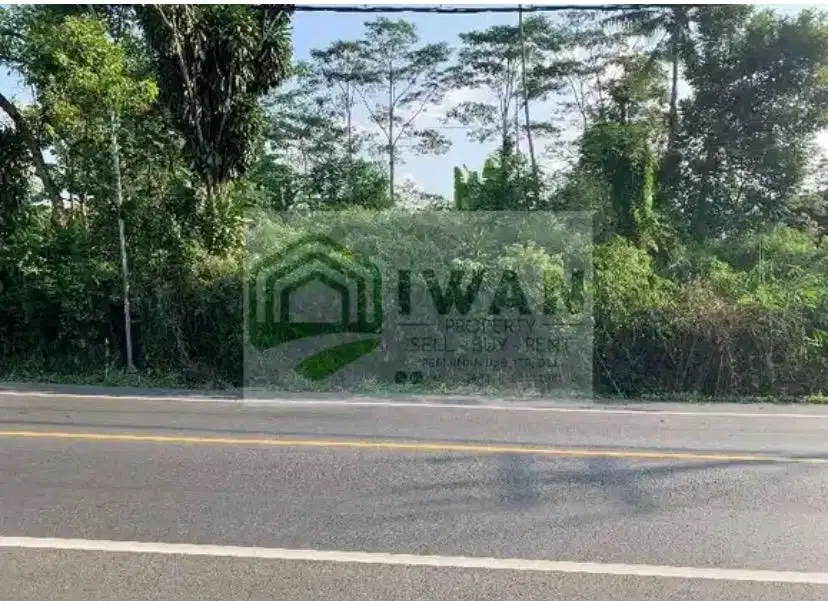 Tanah Pekarangan Murah Zona Merah Dijalan Raya Solo-Semarang
