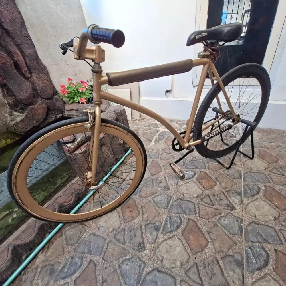Sepeda esthetic gear torpedo - pixie