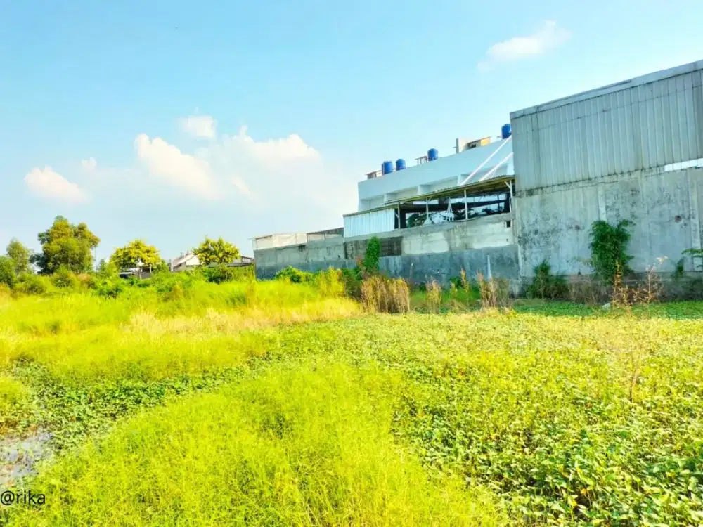 DIJUAL CEPAT: Tanah 325 m² di Sukaharja, Teluk Jambe Timur, Karawang