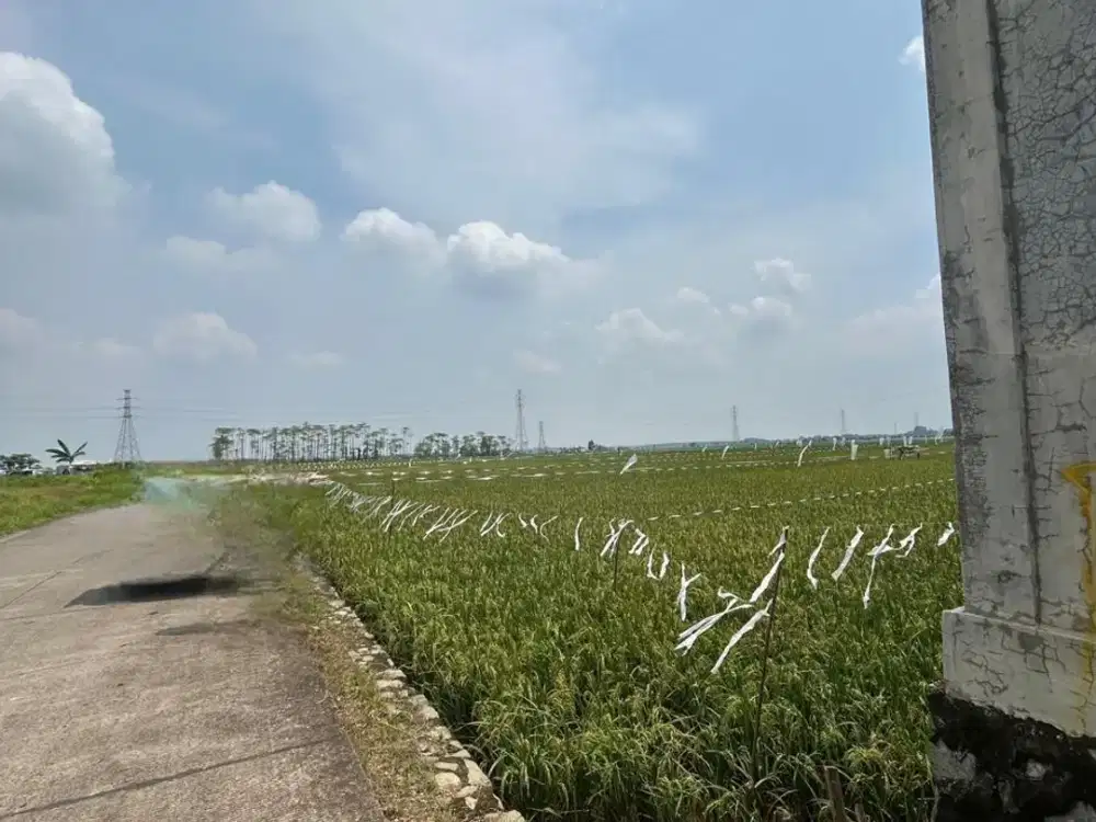 Tanah Zona Industri Lokasi Strategis Luas 6848  M2 Karawang Barat