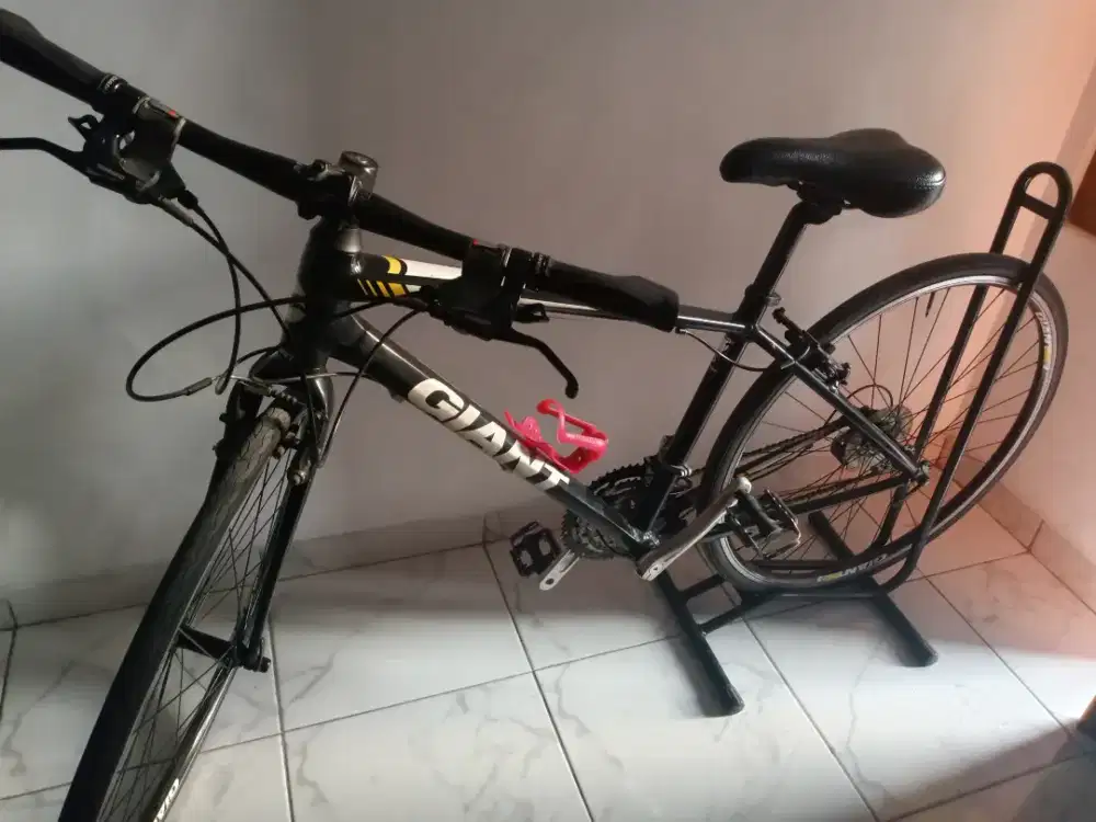 Giant Escape Rx 2 cross bike
