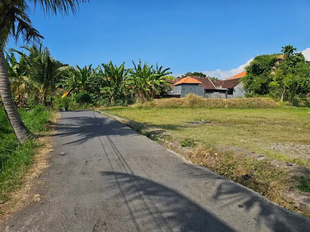 Tanah cocok kavling perumahan di singaraja sudah aspek perumahan panji
