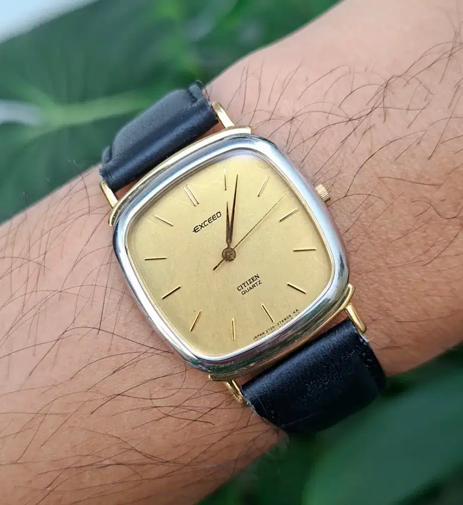 Citizen exceed tank