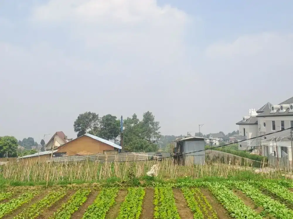 Dijual Murah Tanah Kavling di Setiabudi 4,25 jt / m²