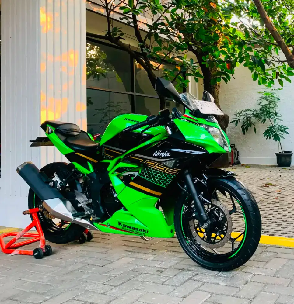 Kawasaki ninja 250 sl mono