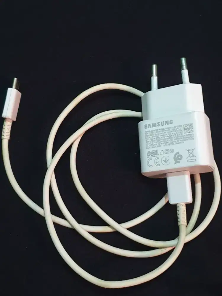 Cassan samsung 25 watt