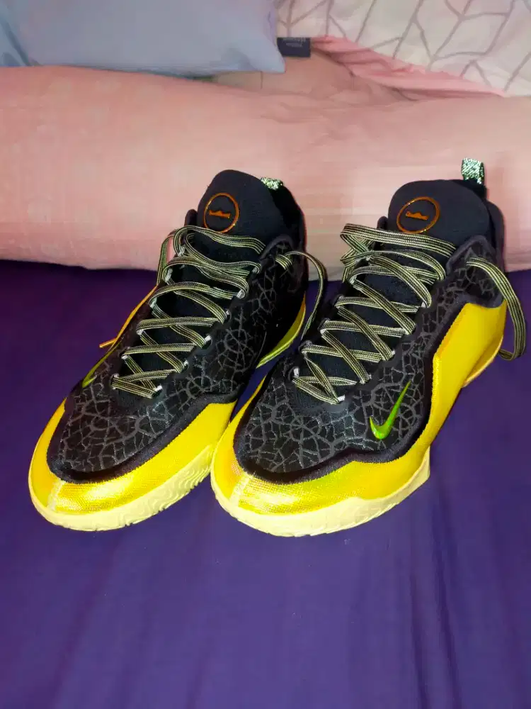 Nike lebron 23 hurt feelings
