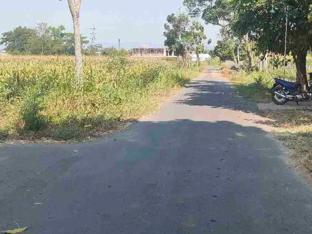 DIJUAL TANAH SAWAH 2013M MANISRENGGO HARGA MURAH