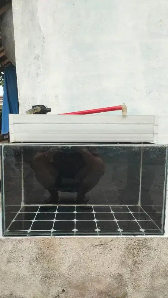 Jual Aquarium Akuarium 60 x 30 Full set Pompa dan talang