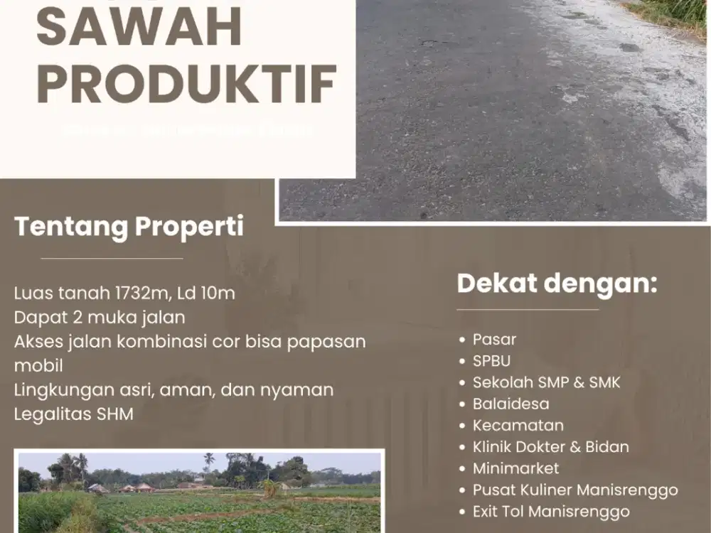 Sawah Produktif Barukan Dekat Exit Tol Manisrenggo