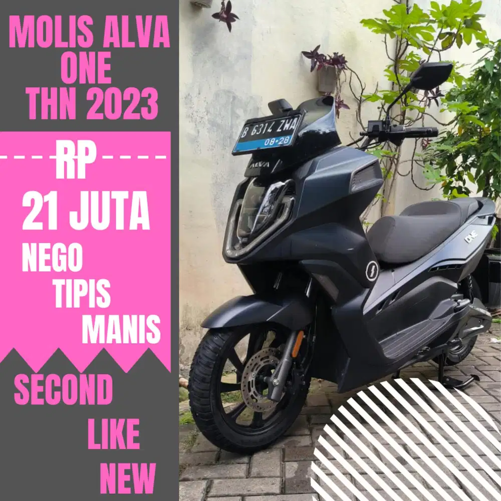 MOLIS ALVA ONE THN 2023