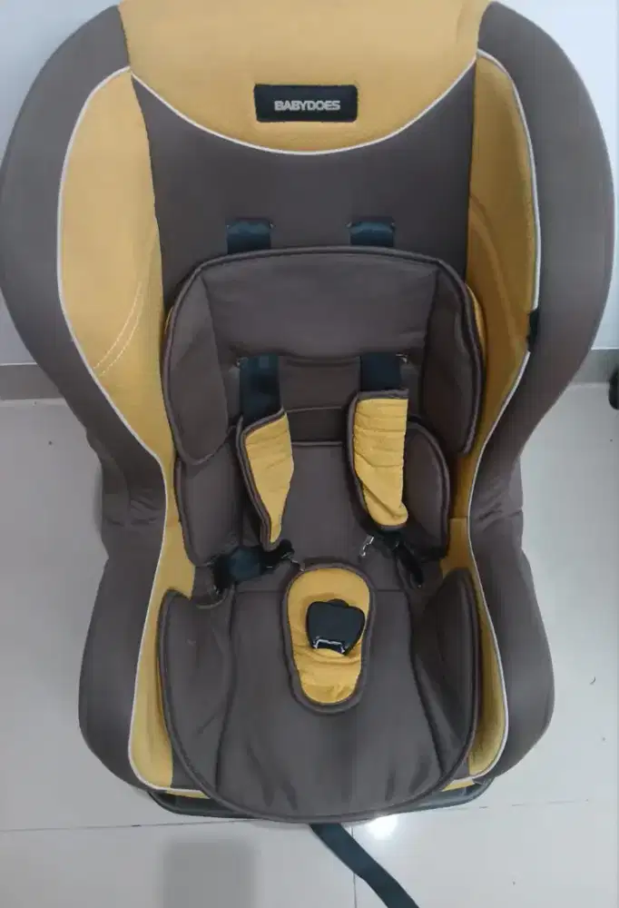 Car Seat Babydoes