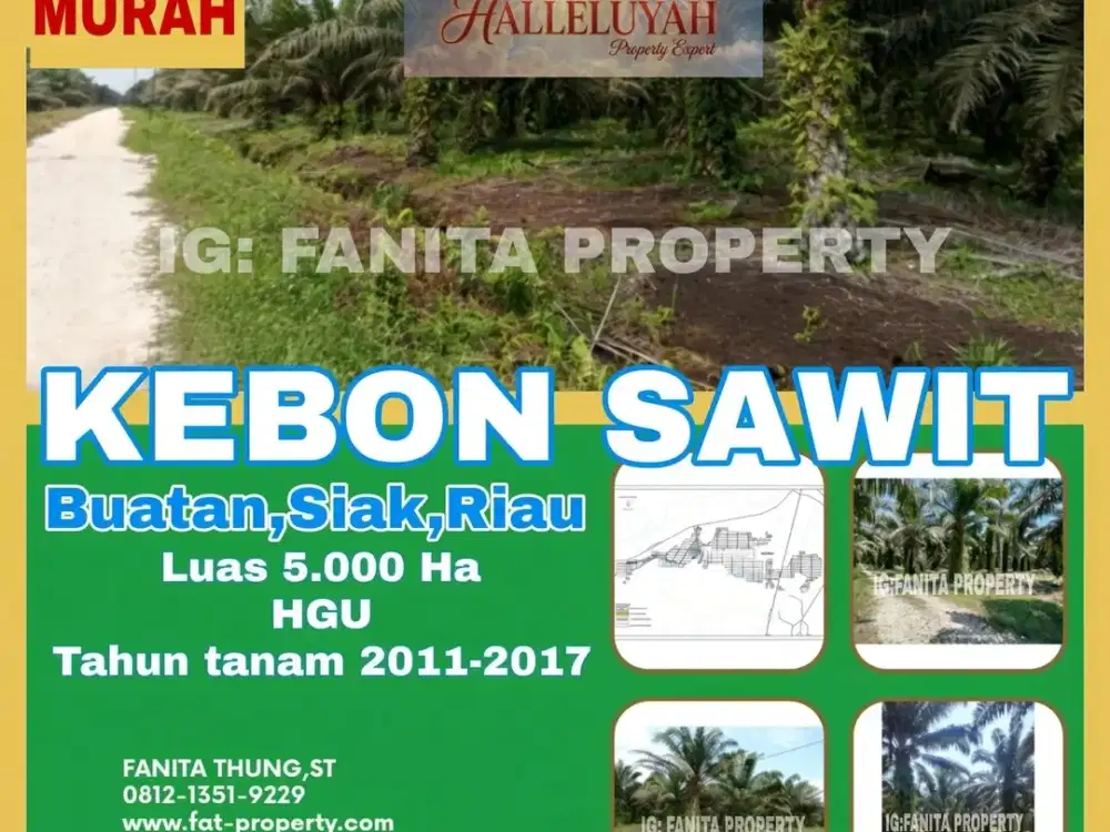 TURUN HARGA! Dijual kebon sawit di Buatan,Siak,Riau 5000Ha,HGU,Udah panen
