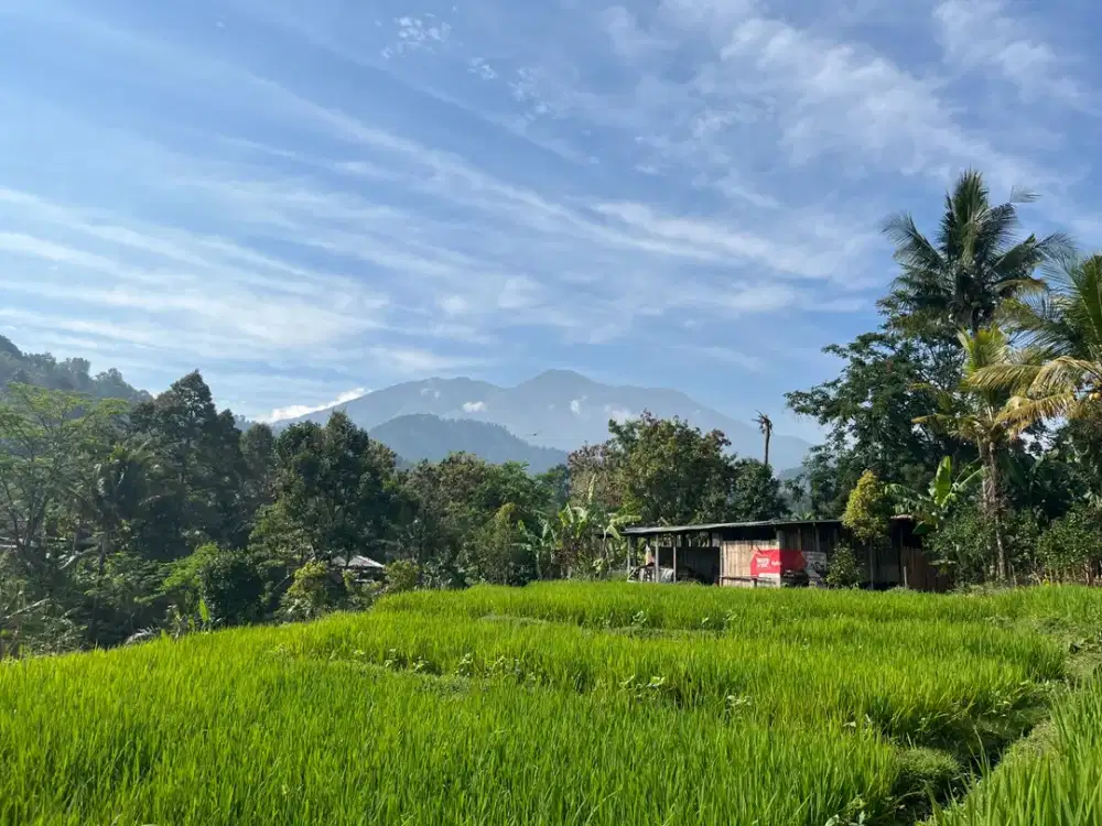Tanah 750m² Kemuning Karanganyar, Sejuk & Dialiri Sungai Cocok untuk Villa