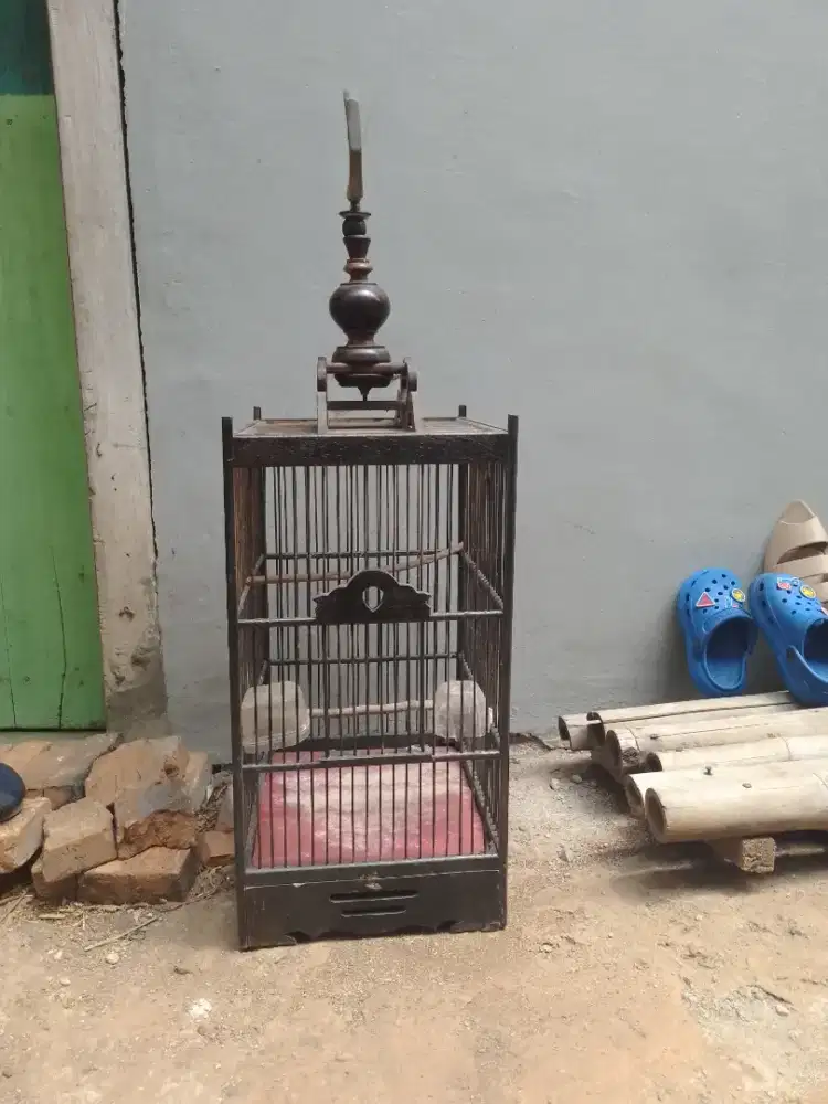 Kandang bekas kenari