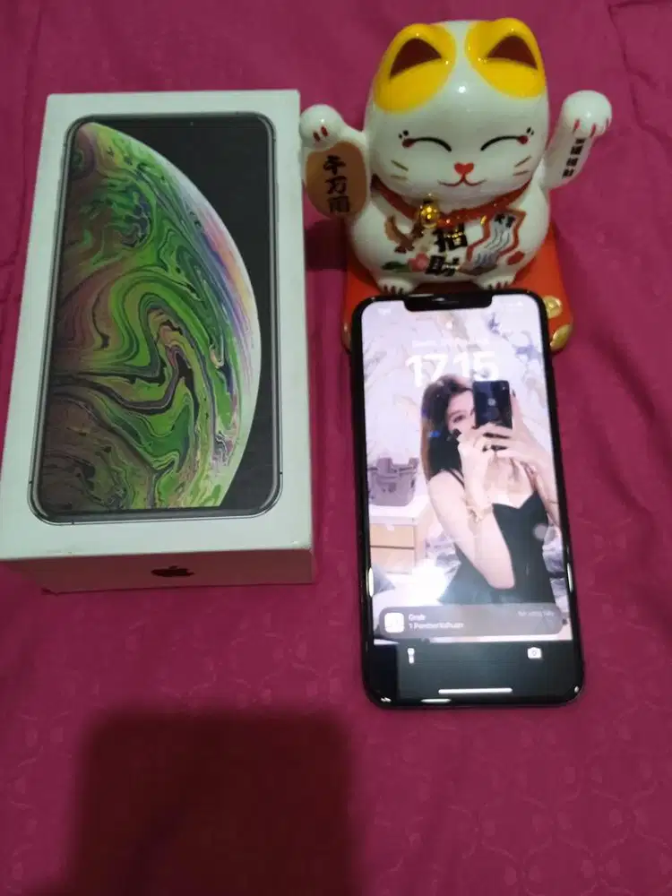 Iphone XS MAX 64Gb