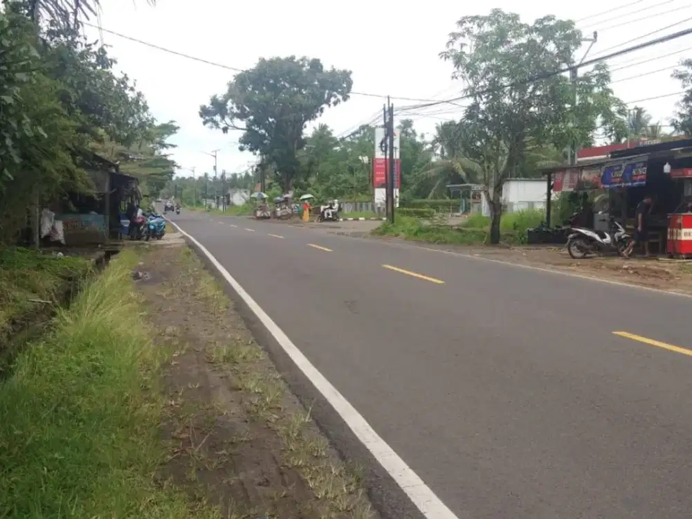 Dijual tanah dekat SPBU dan 1 km dari pintu tol Panimbang pinggir Jl. Raya Panimbang, 11.720 m2, SHM