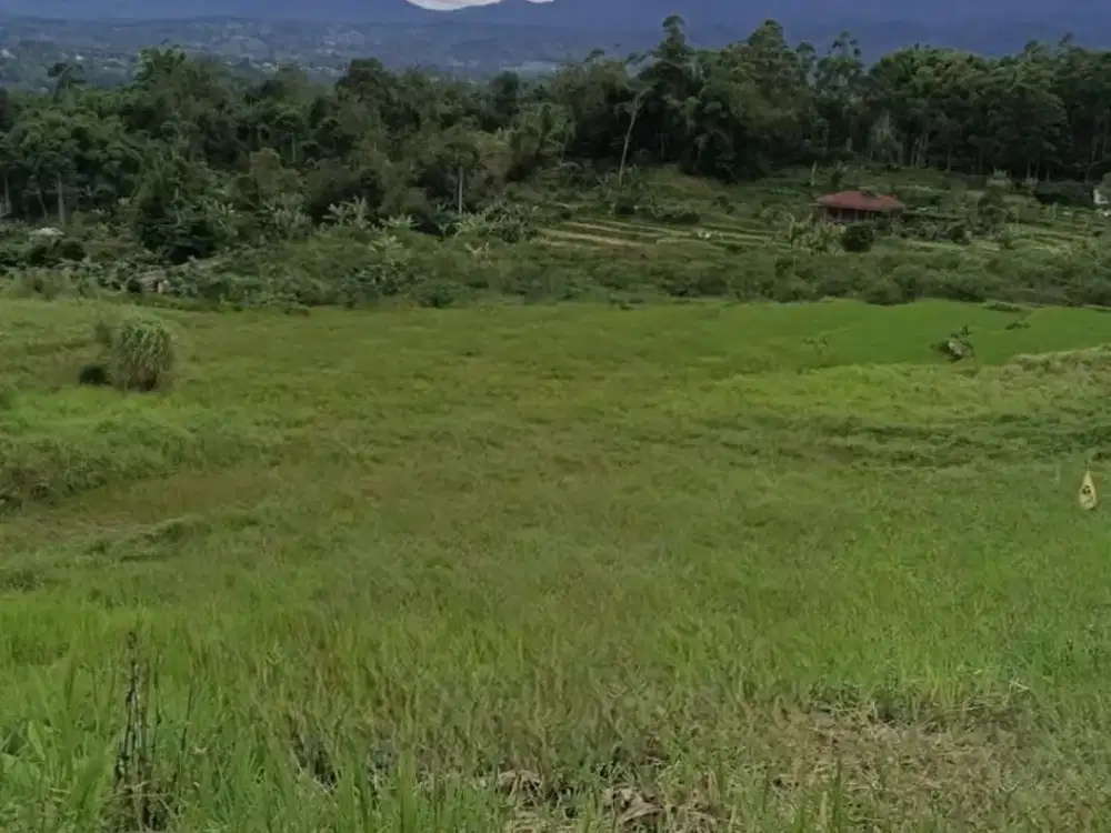 Dijual Tanah di Ciwidey Bandung, Luas Strategis Dekat Kawasan Wisata